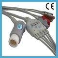 HP one piece 5-lead ECG cable with leadwires 1