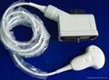 HP C3540 Curved Ultrasound Transducer 