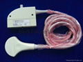 Siemens 3.5C40S Convex Ultrasound Transducer