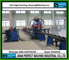 High Speed CNC Punching,Cutting and Marking Line for Angles