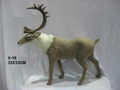 REINDEER 1