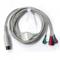 Mindray,Philips,Siemens,Nihon Kohden,Biolight ecg cable