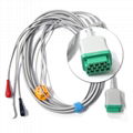 Mindray,Philips,Siemens,Nihon Kohden,Biolight ecg cable