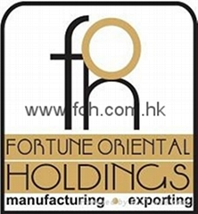 Fortune Oriental Holdings Limited