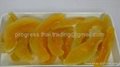 Cantaloupe Dried Fruit preserves food snack Thailand manufacturing Name