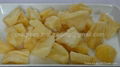 Apple Dried Fruit preserves food snack Thailand manufacturing Name all fruit