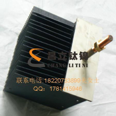 MMO Titanium Anode 3