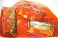 canned mackerel in tomato sauce