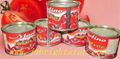 canned tomato paste 1