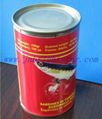 canned pilchard in tomato sauce 1