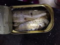 canned sardine in vegetable oil 1