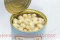 canned white kidney bean