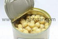 Canned Chick Peas