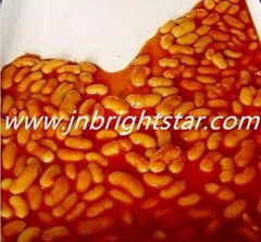 Canned soybean in tomato sauce