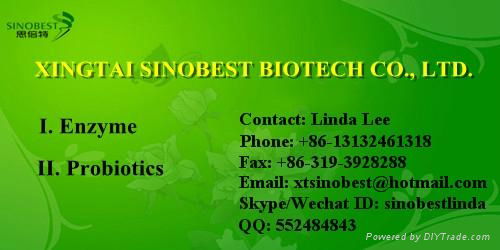 Feed Probiotics Bacillus Subtilis for Animal Feed and Aquactics 2