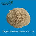 Feed Probiotics Bacillus Subtilis for Animal Feed and Aquactics 1