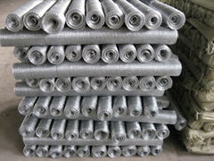 Galvanized Steel Screen Wire Mesh Roll