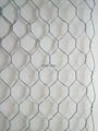 Premium Hexagonal Woven Mesh Gabion Basket Reno Mattress 2