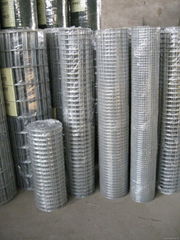 Wire Mesh