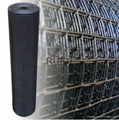 Galvanized Square Welded Wire Mesh Roll  5