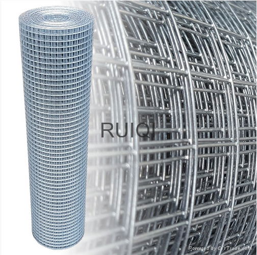 Galvanized Square Welded Wire Mesh Roll 