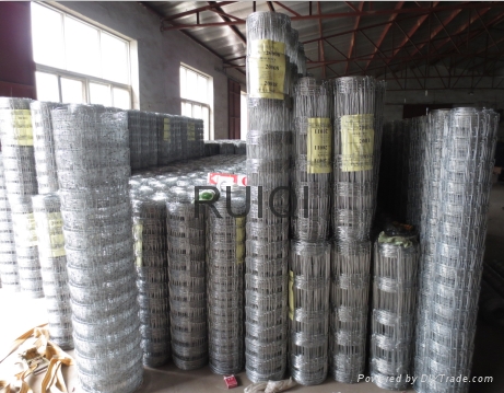 Woven Wire Field Fence Galvanized Steel Mesh  5