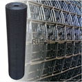 Aviary Mesh Hot Dip Galvanised Welded Wire Mesh Roll 5