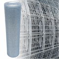 Aviary Mesh Hot Dip Galvanised Welded Wire Mesh Roll 3