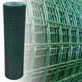 Aviary Mesh Hot Dip Galvanised Welded Wire Mesh Roll 7