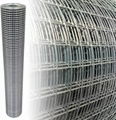 Aviary Mesh Hot Dip Galvanised Welded Wire Mesh Roll 2