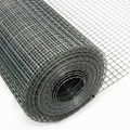 Galvanized Hardware Cloth Welded Wire Mesh Roll