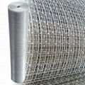 Galvanized Hardware Cloth Welded Wire Mesh Roll 3