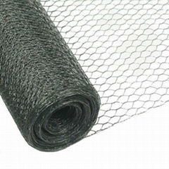 Galvanised Chicken Wire Mesh Hexagonal Netting