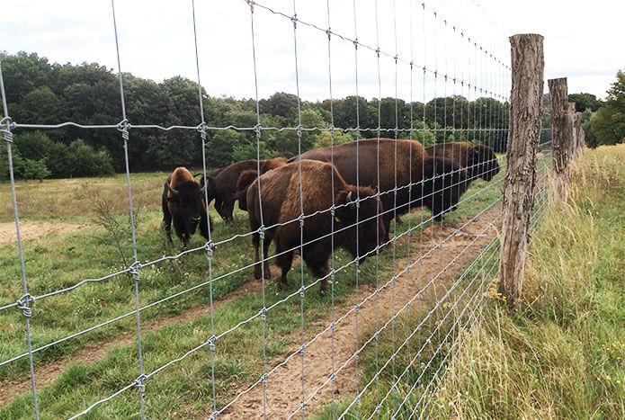 High Tensile Fixed Knot Fence Horse Deer Game Fencing