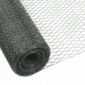 Green PVC Coated Chicken Wire Mesh Netting 