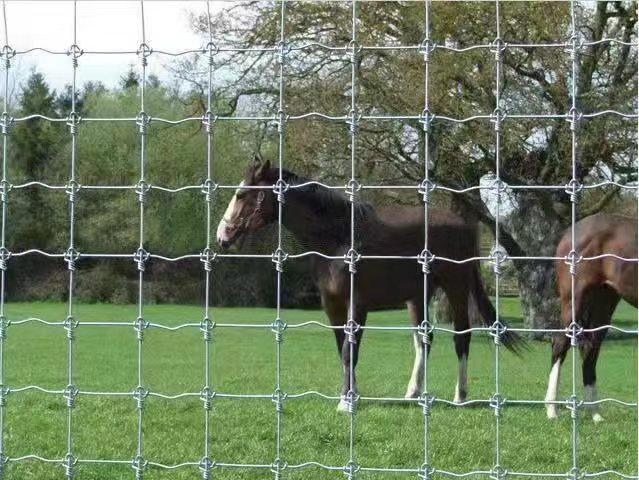 Woven Wire Field Fence Galvanized Steel Mesh  2