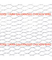 Green PVC Coated Chicken Wire Mesh Netting  5