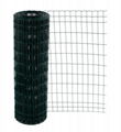 Green PVC Coated Welded Wire Mesh Garden