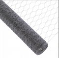 Galvanised Chicken Wire Mesh Hexagonal Netting