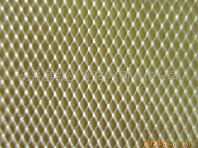 Electrode net  silver net 3