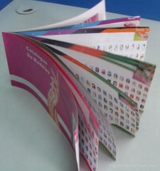 brochure printing 