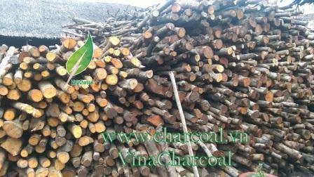 No Chemical High Calorific Longan Hardwood Charcoal BBQ Charcoal 4