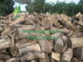 High Quality Natural Malayana Hardwood Charcoal 3