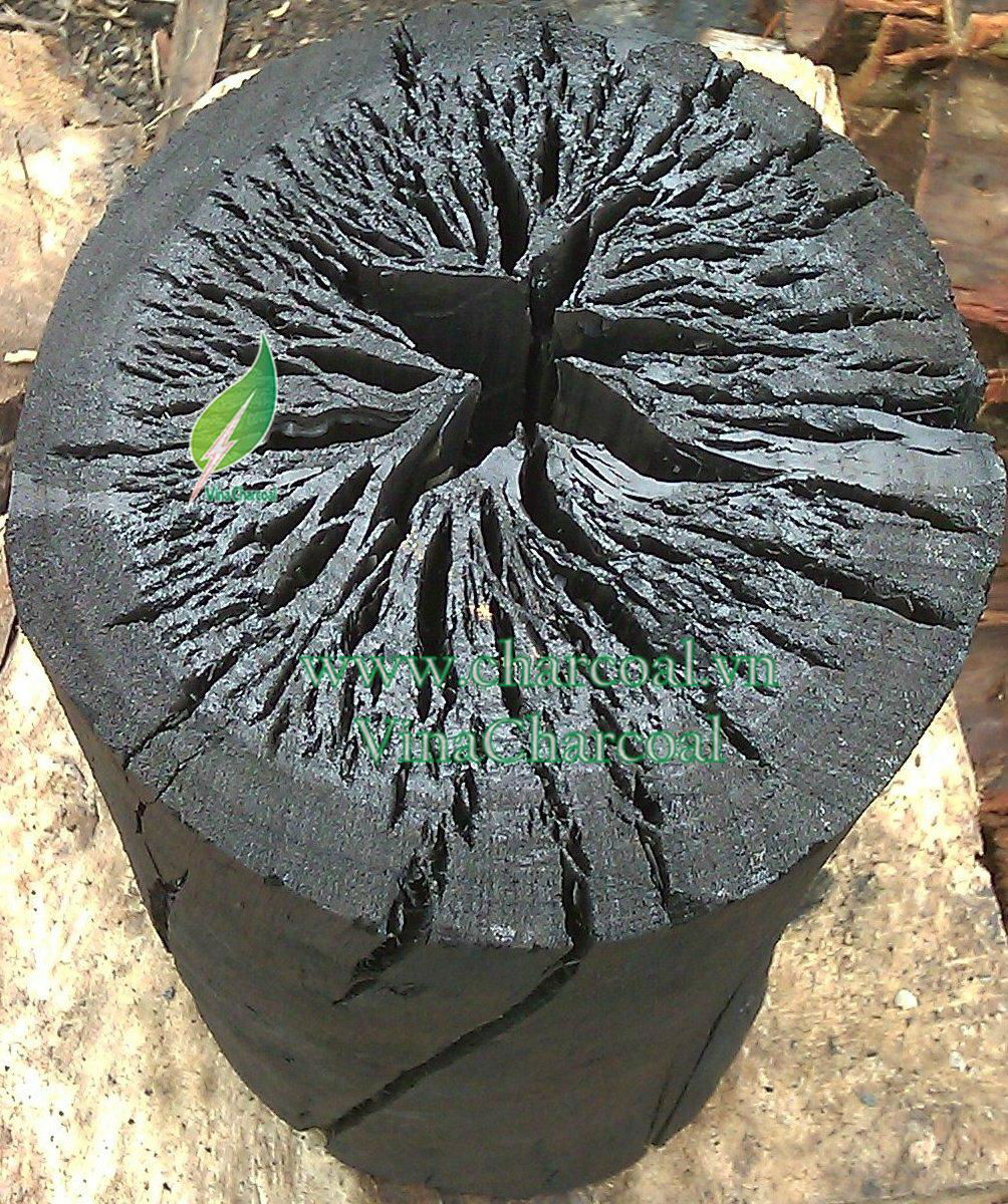 Natural Eucalyptus Hardwood Charcoal For BBQ 4