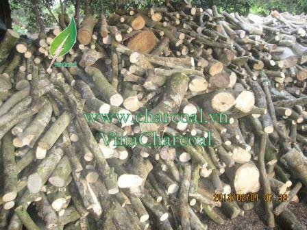 Low Ash Good Price Pomelo Softwood Charcoal  3