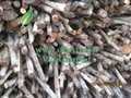 The best 100% pure natural mangrove hardwood charcoal_user's satisfaction
