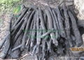 High quality natural coffee charcoal