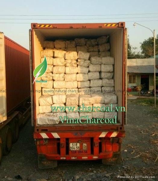 Longan hardwood charcoal for sales with top quality 5