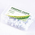 Cheap Prophy cups 3