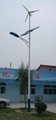 北京太阳能风光互补路灯